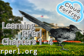 Learning Rperl