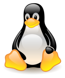 Linux Consulting